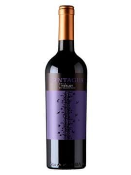 Cantagua Merlot  Cantagua Merlot