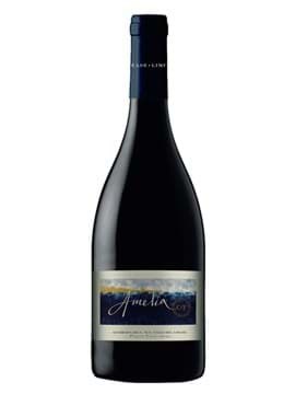 Concha y Toro Amelia Quebrada Seca Pinot Noir Concha y Toro Amelia Quebrada Seca Pinot Noir