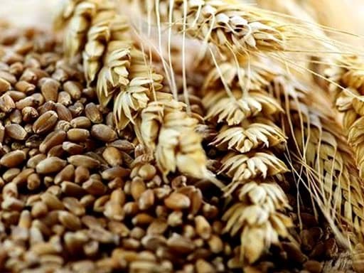 Sự khác nhau giữa Grain whisky và malt whisky  Sự khác nhau giữa Grain whisky và malt whisky