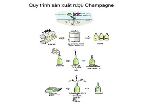 Quy trình sản xuất rượu Champagne Quy trình sản xuất rượu Champagne