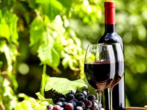 Sự khác nhau giữa phân hạng Grand Cru Classe 1855 và Grand Cru Classee Saint Emilion là gì?  Sự khác nhau giữa phân hạng Grand Cru Classe 1855 và Grand Cru Classee Saint Emilion là gì?