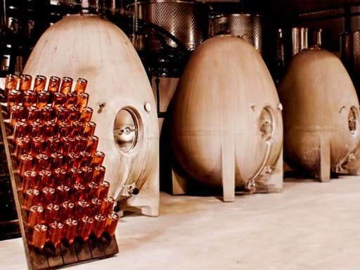 Tại sao nhiều nhà sản xuất sử dụng Concrete Egg để lên men và ủ rượu vang? Tại sao nhiều nhà sản xuất sử dụng Concrete Egg để lên men và ủ rượu vang?