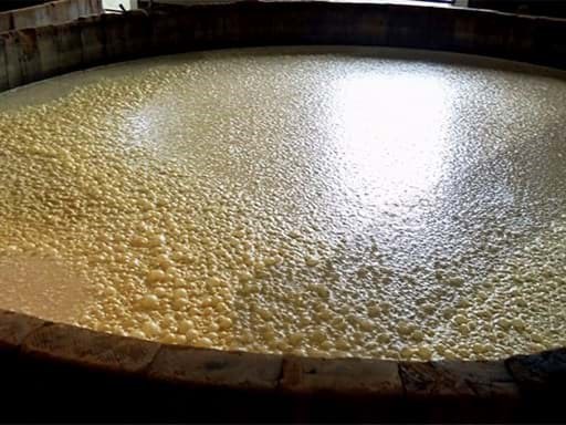 Quá trình lên men quan trọng như thế nào đối với rượu whisky? Quá trình lên men quan trọng như thế nào đối với rượu whisky?