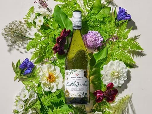 Top 16 loại rượu vang ngon nhất từ The Global Sauvignon Blanc Masters 2023 Top 16 loại rượu vang ngon nhất từ The Global Sauvignon Blanc Masters 2023