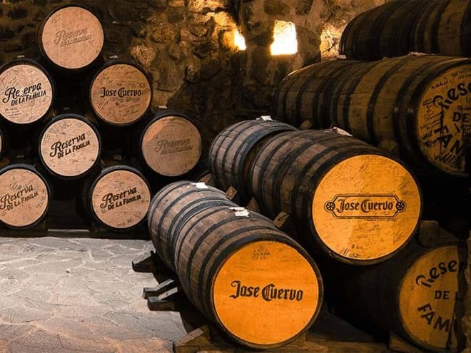 Jose Cuervo Jose Cuervo