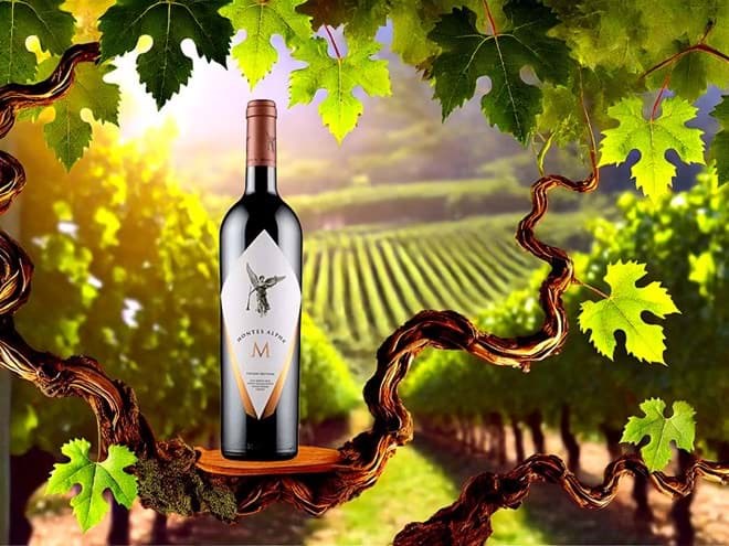 Rượu vang Chile Rượu vang Chile