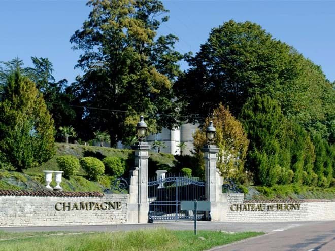 Chateau de Bligny Chateau de Bligny