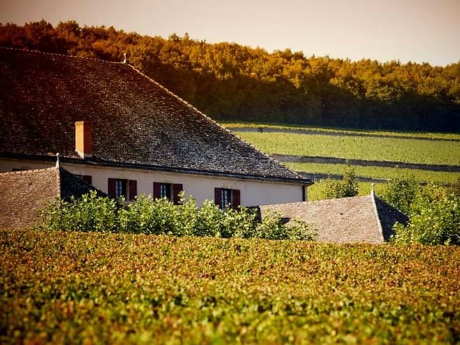 Louis Latour Louis Latour
