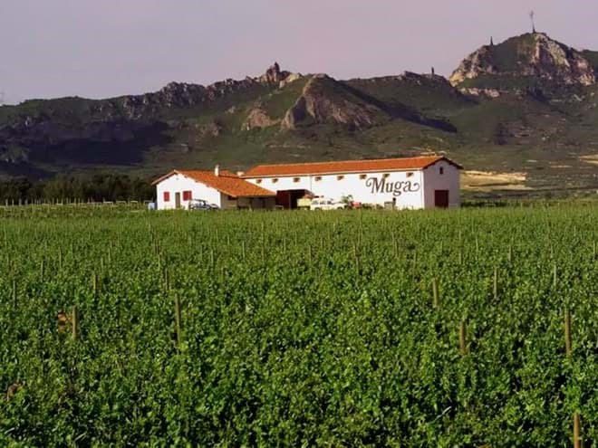 Muga winery  Muga winery
