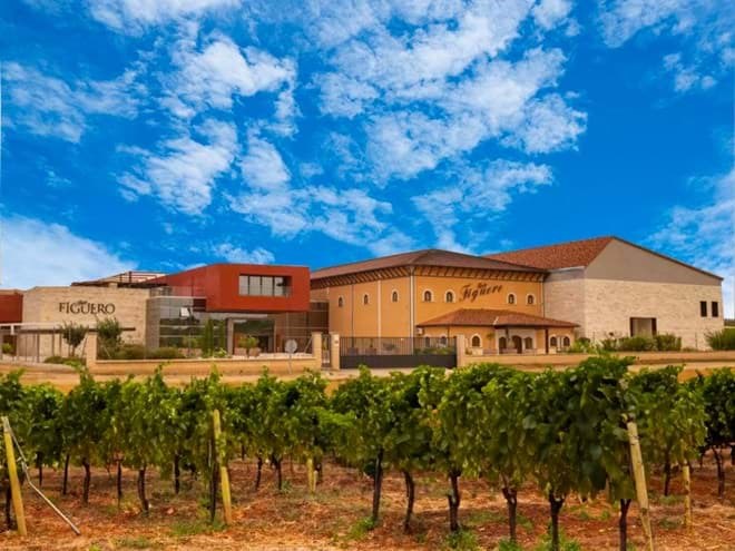 Tinto Figuero Tinto Figuero