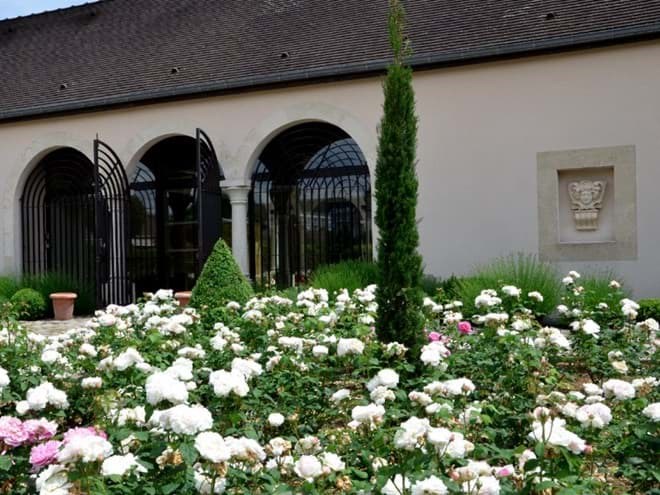 Louis Jadot Louis Jadot