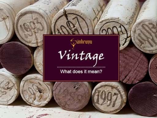 Đối với người thưởng vang, khái niệm niên vụ/vintage là yếu tố quan trọng và được chú ý cho việc ra quyết định thưởng thức, mua sắm hay lưu trữ. Tuy nhiên đối với những vị mới tiếp cận rượu vang thì còn bỡ ngỡ với thuật ngữ này. Sau đây Sành rượu giúp quý vị hiểu thêm niên vụ/vintage là gì và tầm quan trọng của thông số này. Đối với người thưởng vang, khái niệm niên vụ/vintage là yếu tố quan trọng và được chú ý cho việc ra quyết định thưởng thức, mua sắm hay lưu trữ. Tuy nhiên đối với những vị mới tiếp cận rượu vang thì còn bỡ ngỡ với thuật ngữ này. Sau đây Sành rượu giúp quý vị hiểu thêm niên vụ/vintage là gì và tầm quan trọng của thông số này.