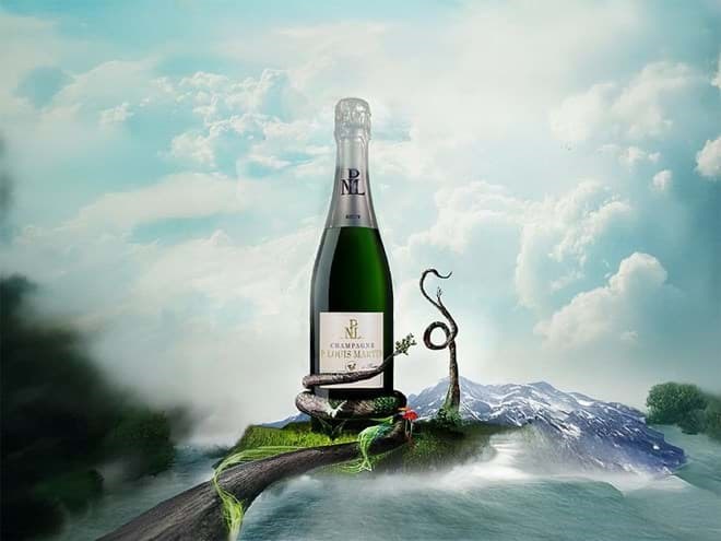 Paul Louis Martin Paul Louis Martin