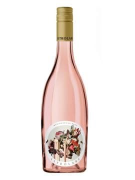 Astrolabe Marlborough Rose Astrolabe Marlborough Rose