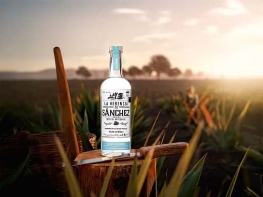 Quy trình sản xuất rượu Mezcal  Quy trình sản xuất rượu Mezcal