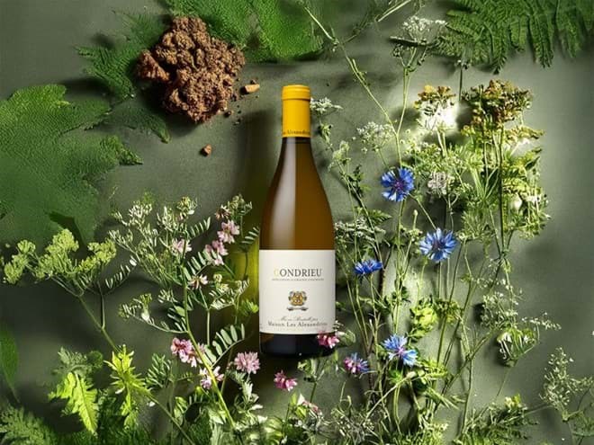 Maison Les Alexandrins Maison Les Alexandrins