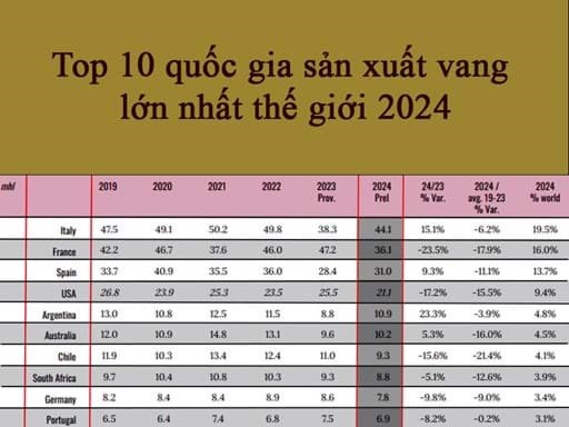 Top 10 quốc gia sản xuất rượu vang lớn nhất thế giới 2024 Top 10 quốc gia sản xuất rượu vang lớn nhất thế giới 2024