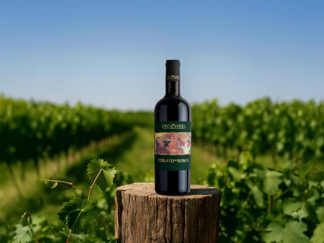 Vang Tua Rita Vang Tua Rita