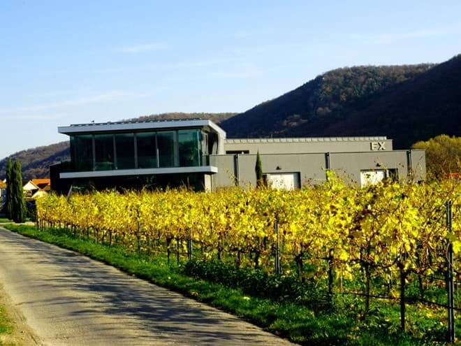 Weingut FX Pichler Weingut FX Pichler