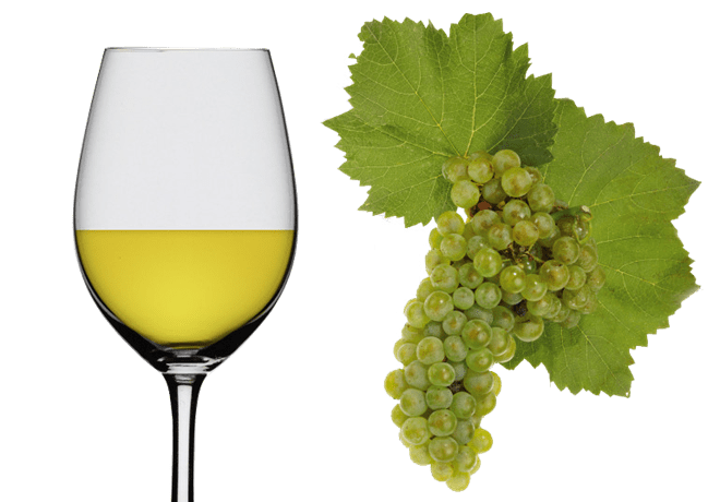 Hiển thị các sản phẩm trong danh mục Chardonnay Hình ảnh cho danh mục Chardonnay
