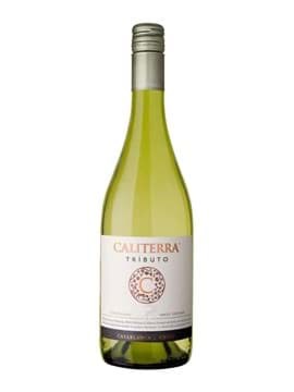 Caliterra Tributo Gran Reserva Single Vineyard Chardonnay Caliterra Tributo Gran Reserva Single Vineyard Chardonnay