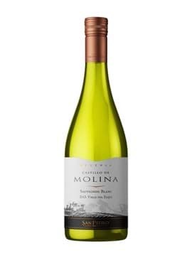 Castillo De Molina Reserva Sauvignon Blanc Castillo De Molina Reserva Sauvignon Blanc