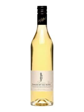 Giffard Ginger of the Indies Giffard Ginger of the Indies