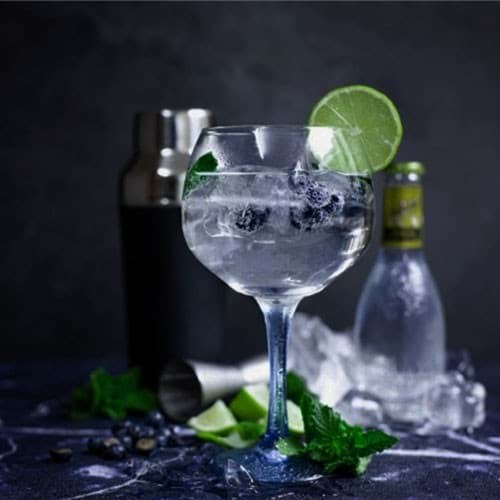 Top 8 thương hiệu Gin bán chạy nhất năm 2021 Top 8 thương hiệu Gin bán chạy nhất năm 2021