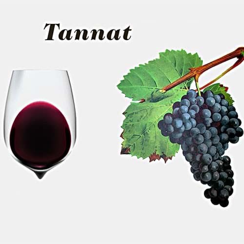 Tannat