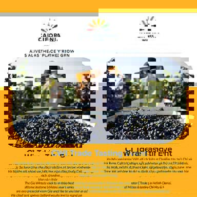 Sự kiện CWI Trade Tasting 2023 