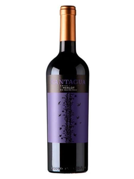 Rượu vang đỏ Cantagua Merlot Cantagua Merlot