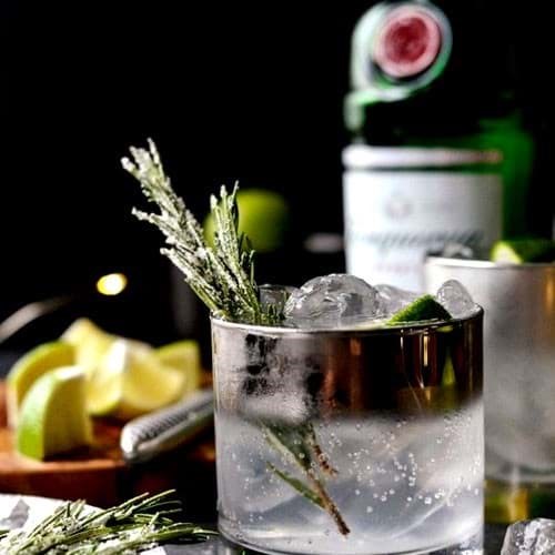 Lịch sử bắt đầu sản xuất rượu Gin