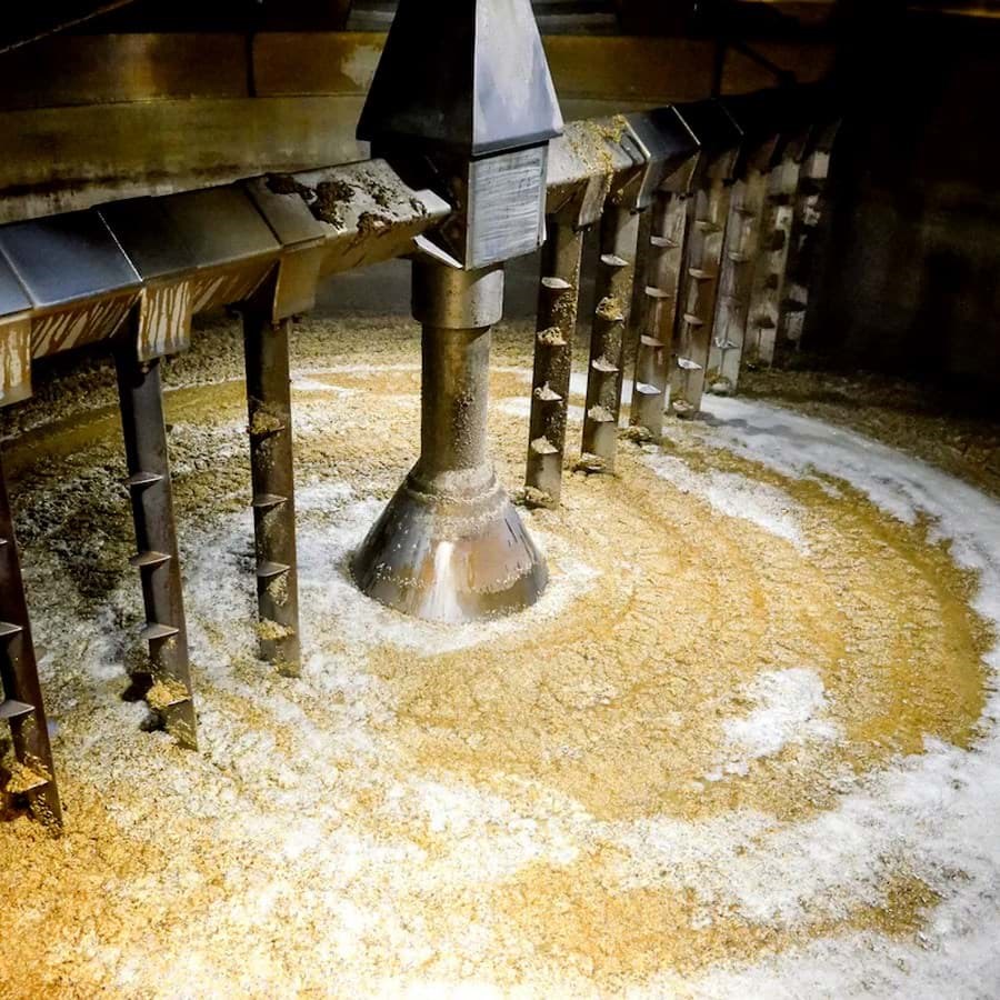 Quá trình nghiền/mashing ngũ cốc trong sản xuất whisky diễn ra như thế nào? 