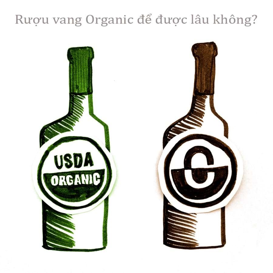 Rượu vang Organic để được lâu không? 