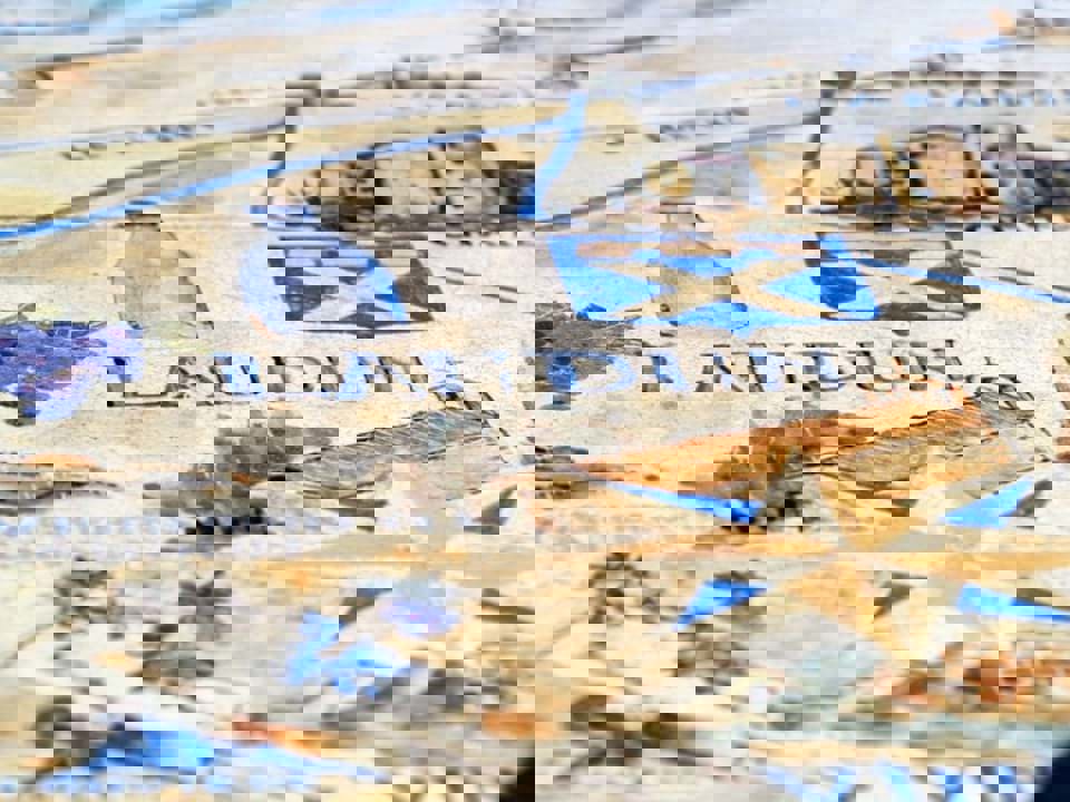 Laudun chính thức được phân hạng Cru ở Cote de Rhone