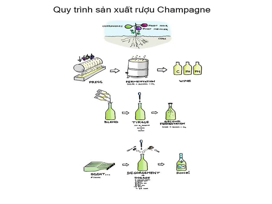 Quy trình sản xuất rượu Champagne