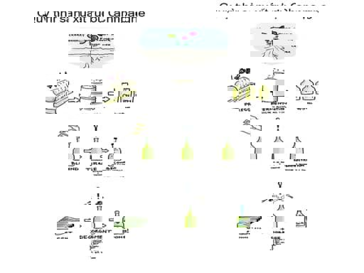 Quy trình sản xuất rượu Champagne