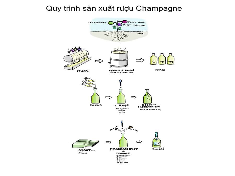 Quy trình sản xuất rượu Champagne Quy trình sản xuất rượu Champagne