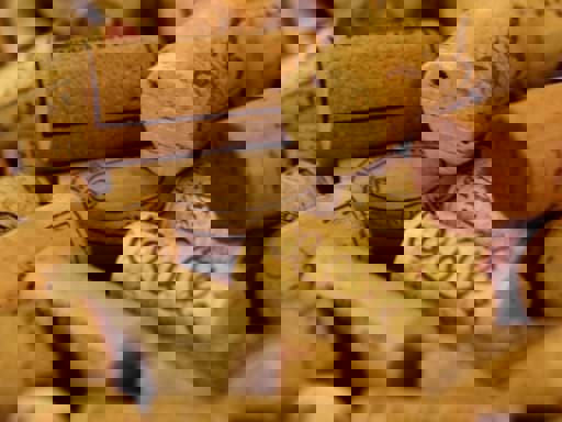 Lợi ích của việc đóng chai rượu vang bằng nút bần/cork là gì? 