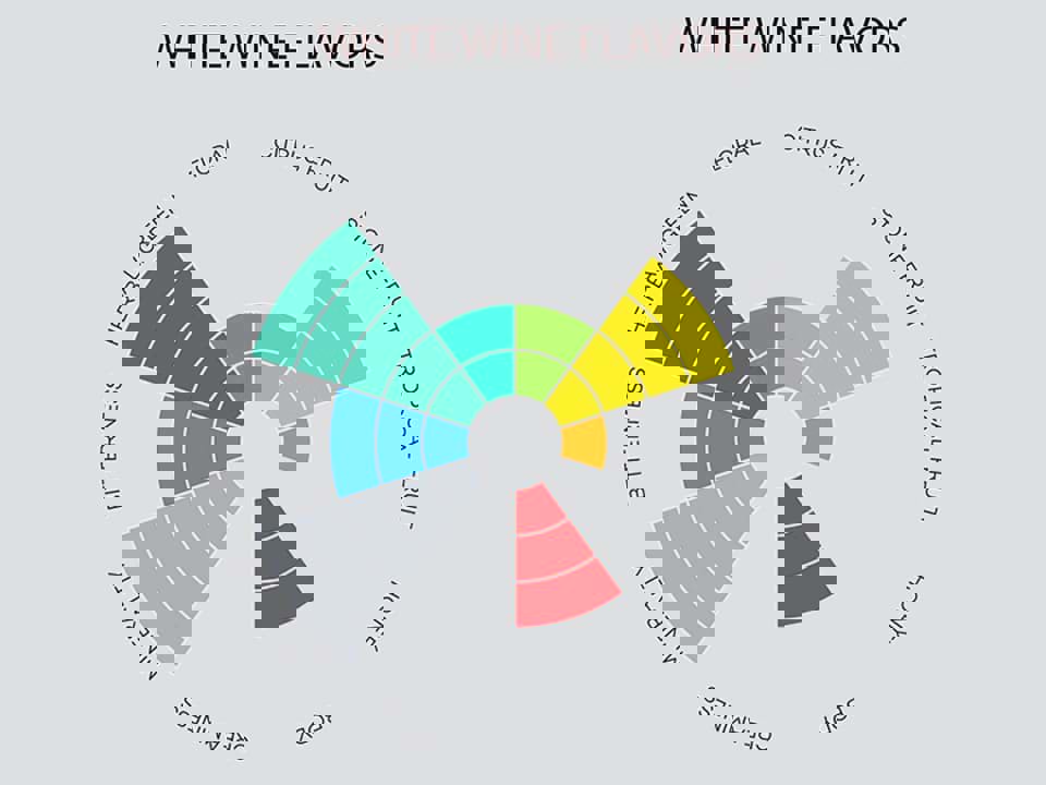 Hương vị của rượu vang trắng 