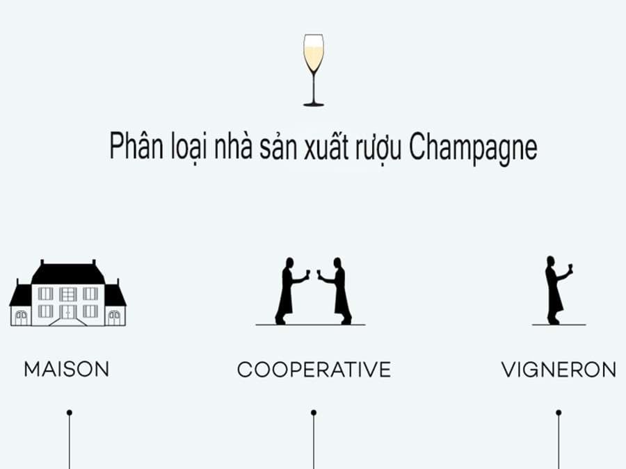 Phân loại nhà sản xuất Champagne 