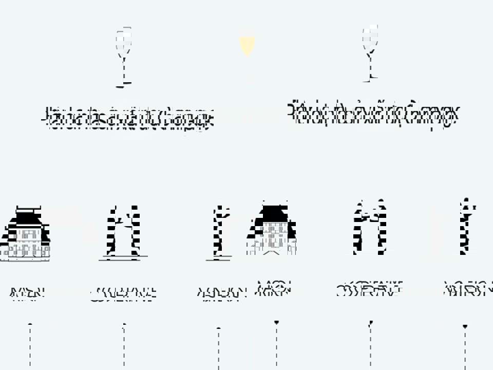 Phân loại nhà sản xuất Champagne 