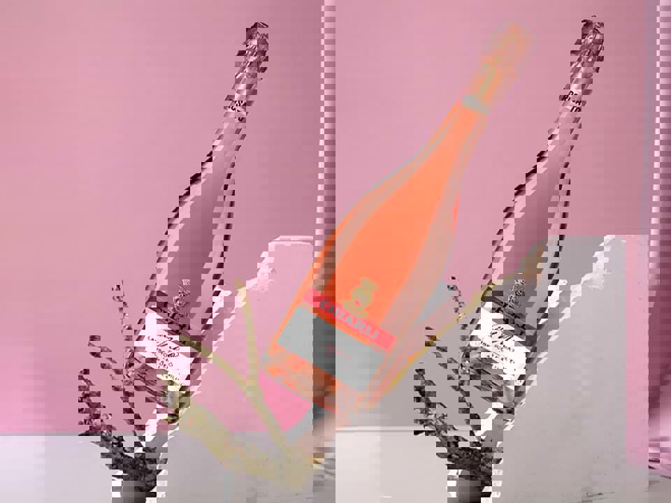 Tìm hiểu về dòng vang sủi Lambrusco 