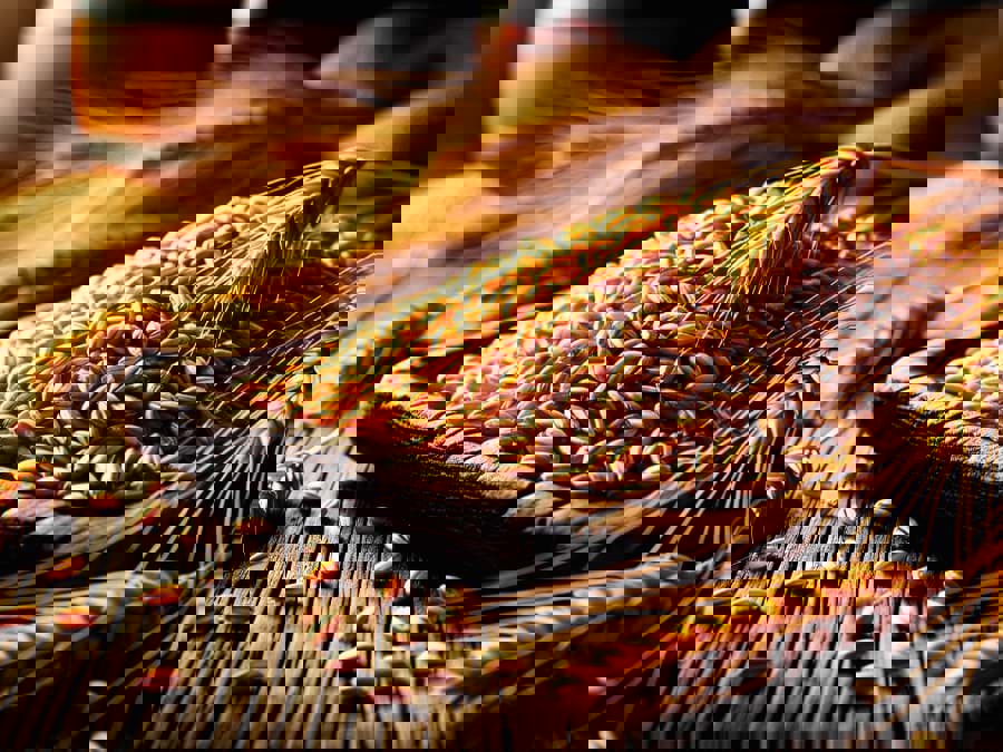 Thuật ngữ malted và unmalted barley trong rượu whisky là gì? Thuật ngữ malted và unmalted barley trong rượu whisky là gì?