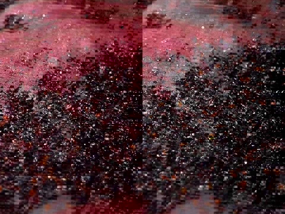 Tìm hiểu kĩ thuật sản xuất rượu vang - Carbonic maceration 