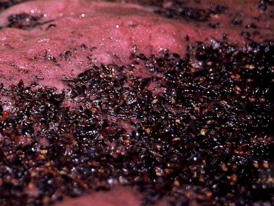 Tìm hiểu kĩ thuật sản xuất rượu vang - Carbonic maceration Tìm hiểu kĩ thuật sản xuất rượu vang - Carbonic maceration