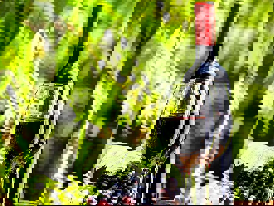 Sự khác nhau giữa phân hạng Grand Cru Classe 1855 và Grand Cru Classee Saint Emilion là gì? Sự khác nhau giữa phân hạng Grand Cru Classe 1855 và Grand Cru Classee Saint Emilion là gì?