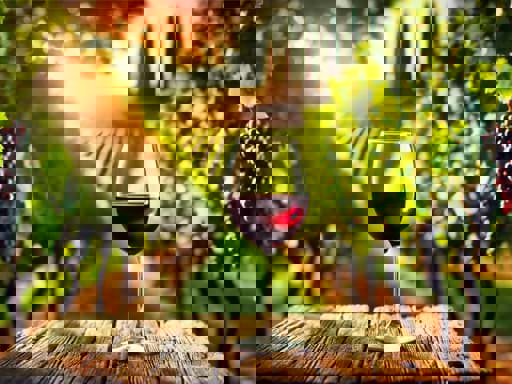 Top 7 best Value Bordeaux 2024 