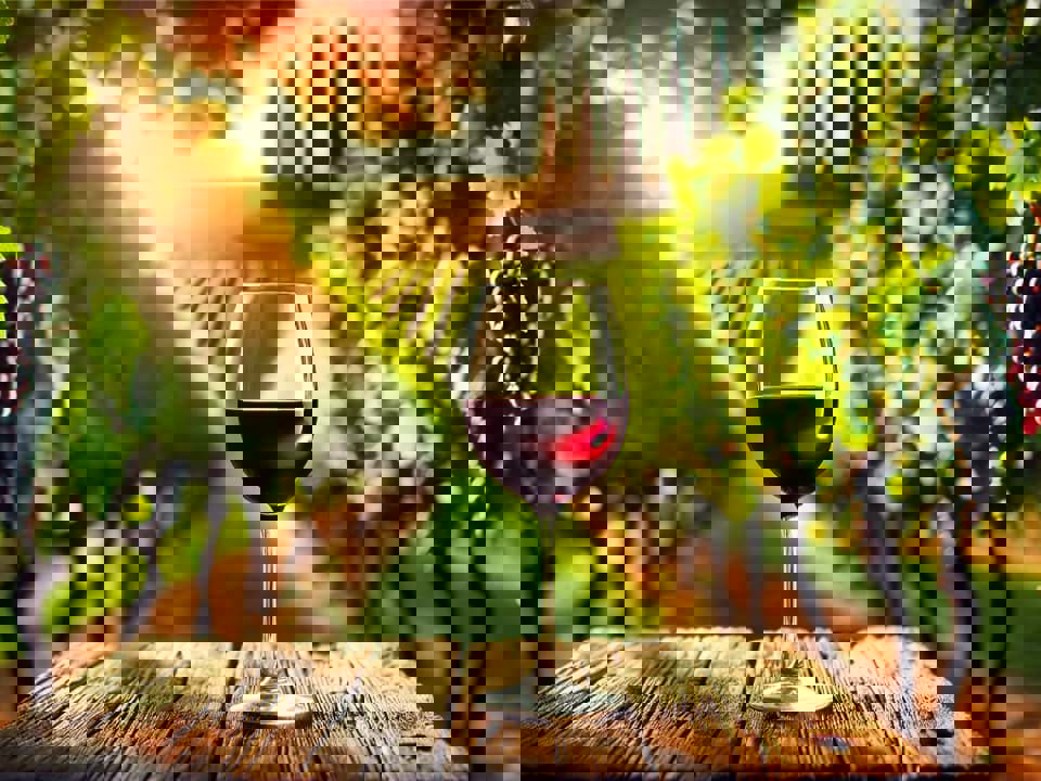 Top 7 best Value Bordeaux 2024 