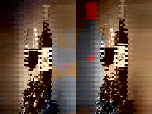  The Global Syrah Masters 2024